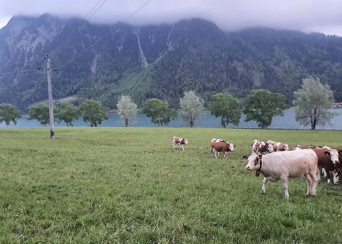 Urban Alpine Penthouse With View Сasa de vacaciones