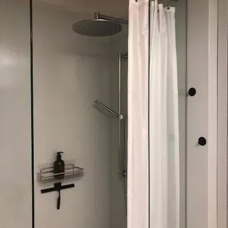 Urban Alpine Penthouse With View